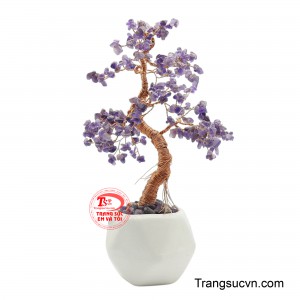 Trong quan niệm phong thủy, thạch anh tím thường được gắn với sự bình an, trí tuệ, tinh thần minh mẫn và nguồn năng lượng tích cực.