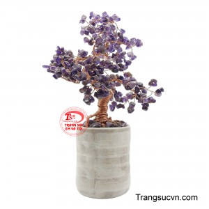 Cây thích hợp đặt tại phòng khách, bàn làm việc, văn phòng, cửa hàng hoặc quầy giao dịch như một điểm nhấn trang trí đầy ý nghĩa.