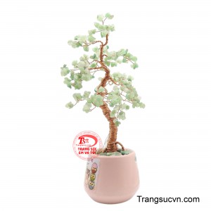 Cây được đặt trong một chiếc chậu gốm nhỏ màu hồng dịu nhẹ, phía trên là một lớp sỏi nhỏ trang trí để cố định gốc cây.