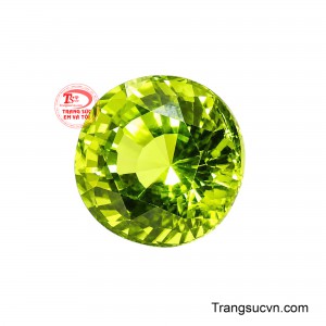 Viên đá gửi gắm ý niệm về một nguồn năng lượng xanh tươi luôn được nuôi dưỡng và phát triển.