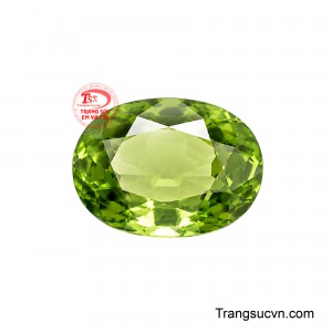 Vì vậy Sapphire Lục Quang mang hình tượng của sinh khí, tài lộc và một nguồn năng lượng tích cực bền vững. 