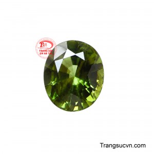 Viên Sapphire Thanh Mộc sở hữu sắc lục pha ánh olive sâu, mang vẻ đẹp tự nhiên, trầm tĩnh nhưng nổi bật sống động. 