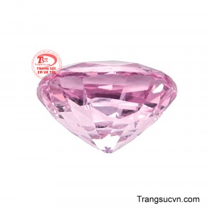 Đây sẽ là món quà tuyệt vời dành tặng bạn bè và người thân vào các dịp lễ tết