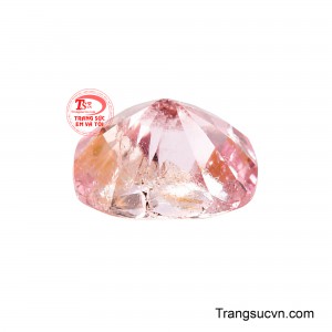 Sản phẩm sẽ là món quà ý nghĩa dành tặng người thân và bạn bè vào những dịp lễ tết quan trọng.