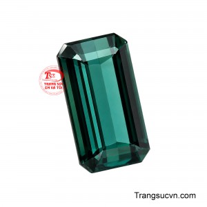 Kết hợp cùng sắc lục sẫm trầm tĩnh đầy khí chất tạo nên một diện mạo vừa mạnh mẽ vừa sang trọng. 