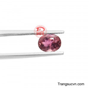 Đây chính là một điểm nhấn dành cho người yêu thích sự tinh tế, độc bản và đẳng cấp vượt thời gian.