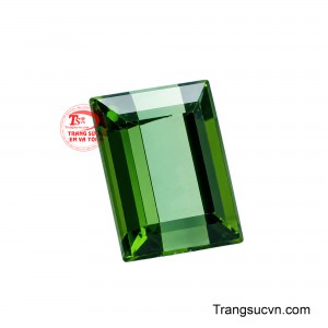 Những mặt facet phản chiếu ánh sáng theo từng lớp, tạo nên các điểm sáng sắc nét xen kẽ vùng màu sâu, làm nổi bật vẻ đẹp tự nhiên và độ tinh xảo của Tourmaline.