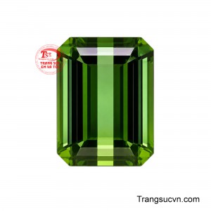 Viên Tourmaline Phú Quý sở hữu sắc xanh lục tự nhiên đầy sức sống, mang chiều sâu màu sắc thanh lịch và cuốn hút. 