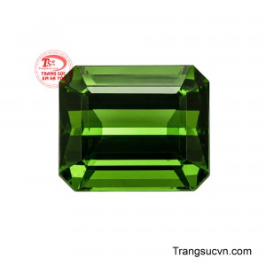 Theo quan niệm phong thủy, sắc xanh lục tượng trưng cho sinh trưởng, sinh khí và sự phát triển.