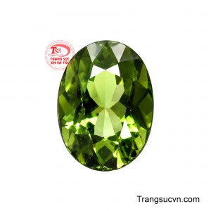 Viên Tourmaline Vượng Khí nổi bật với sắc lục thanh nhã, mang vẻ đẹp tự nhiên, giàu chiều sâu và gợi cảm giác về nguồn sinh khí dồi dào.