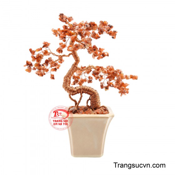 Cây Mã Não Kim Ngọc Tụ Tài