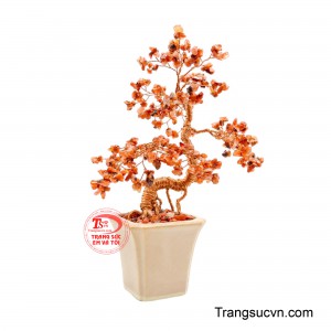 Các mảnh đá có độ trong nhẹ, xen kẽ sắc cam đỏ, tạo nên vẻ rực rỡ như những viên kim ngọc đang hội tụ trên từng cành cây. 