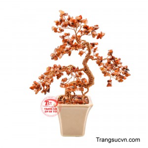 Tán cây phân nhánh rộng, cân đối như đang dang rộng để đón tài, tụ lộc, mang đến vẻ đẹp vừa nghệ thuật vừa giàu ý nghĩa phong thủy. 