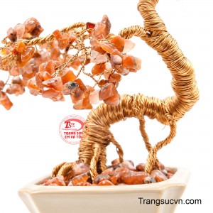 Kim Ngọc Tụ Tài thích hợp trưng bày tại phòng khách, bàn làm việc, văn phòng, quầy lễ tân hoặc không gian kinh doanh.