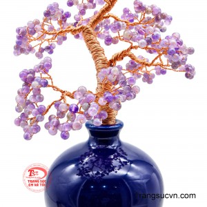 Tán cây phân tầng cân đối, tượng trưng cho vượng khí, tài lộc và sự phát triển bền vững.