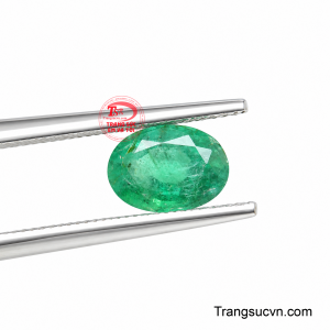 Đây cũng là món quà mang ý nghĩa chúc thịnh vượng, bình an và khởi sắc, phù hợp dành tặng người thân, đối tác hoặc trong những dịp quan trọng.