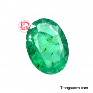 Trong quan niệm phong thủy, sắc xanh Emerald thường được liên tưởng đến sinh khí, tài lộc, sự phát triển và thịnh vượng.