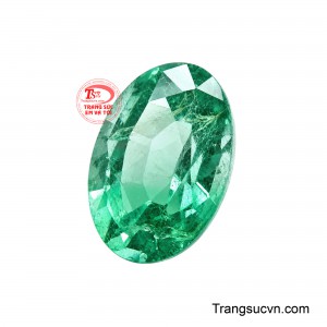 Sắc xanh của Emerald được liên tưởng đến sinh khí, sự phát triển, cân bằng và tài lộc, phù hợp với hình tượng viên ngọc mang năng lượng tươi mới và thịnh vượng. 