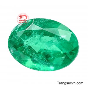 Theo quan niệm phong thủy, sắc xanh lục bảo tượng trưng cho sức sống, sự cân bằng và phúc khí, gửi gắm mong cầu thuận lợi, viên mãn và thịnh vượng.