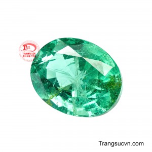 Các mặt cắt được thể hiện rõ nét, kết hợp độ bóng vừa phải làm nổi bật sắc xanh sang trọng.