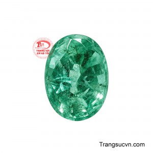 Ngọc Lục Bảo Thịnh Vượng