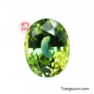Sapphire- viên đá mệnh Mộc là biểu tượng hoàn hảo cho những người mệnh Mộc, mang theo sức sống mãnh liệt và năng lượng của thiên nhiên.