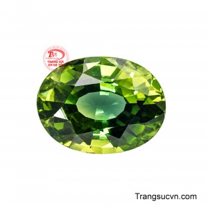 Sở hữu viên sapphire mệnh Mộc giúp người đeo cảm thấy tràn đầy sức sống, tăng cường sự sáng tạo và khả năng thích nghi với mọi hoàn cảnh. 