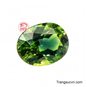 Sapphire đặc biệt phù hợp để chế tác nhẫn, mặt dây chuyền, bông tai và vòng tay cao cấp, từ những thiết kế tối giản tinh tế đến các tác phẩm trang sức mang dấu ấn riêng. 
