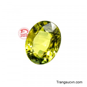 Màu xanh lục biểu thị sự tĩnh lặng, sự cân bằng và sự thích nghi.