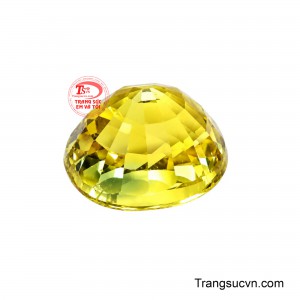 Viên Sapphire có giấy kiểm định là lựa chọn dành cho những khách hàng đề cao sự minh bạch và giá trị lâu dài của đá quý.