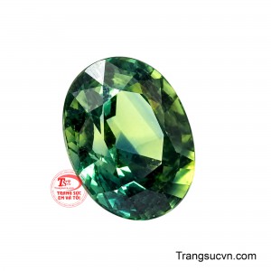 Màu xanh sâu thẳm của nó đại diện cho sự ổn định, kiên định và khả năng vượt qua thử thách. 