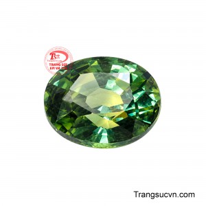 Đặt viên Sapphire này trong không gian của bạn, nó sẽ như một lá bùa hộ mệnh, lan tỏa năng lượng tích cực