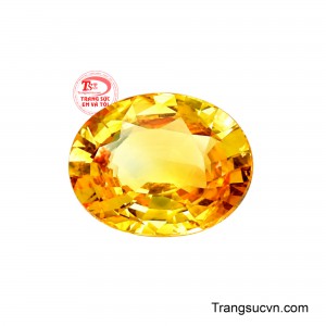 Ngoài ra thì sản phẩm này thường được gắn trên trang sức vàng giúp người đeo thêm phần sang trọng, khẳng định vị thế của bản thân. 