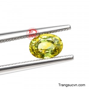 Bảo hành uy tín và trải nghiệm vẻ đẹp tự nhiên của sapphire. 
