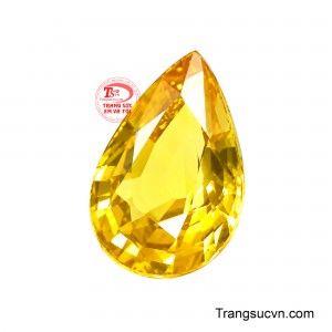 Màu sắc này rất phù hợp để đính vào mặt dây chuyền vàng trắng hoặc vàng vàng, tạo nên món trang sức cá tính và đẳng cấp cho những buổi tiệc hoặc sự kiện quan trọng. 