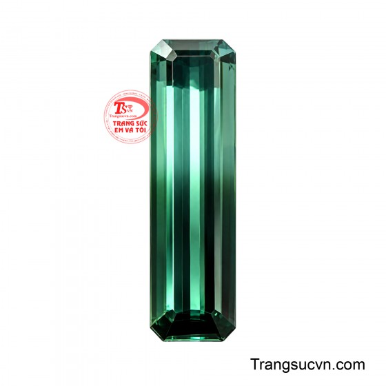 Viên Tourmaline Bicolor Huyền Ngọc