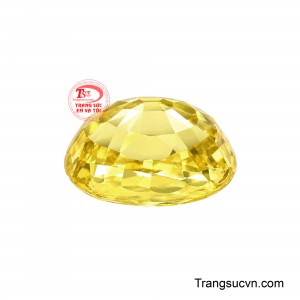 Sapphire Kim Ngọc là lựa chọn lý tưởng để chế tác nhẫn, mặt dây chuyền hoặc những món trang sức mang phong cách riêng biệt. 