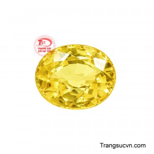 Viên sapphire có giấy kiểm định là lựa chọn dành cho những khách hàng đề cao sự minh bạch và giá trị lâu dài của đá quý. 