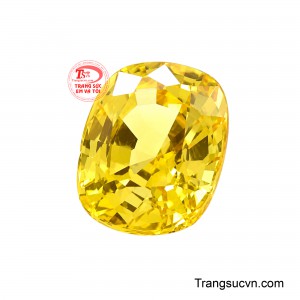 Với vẻ đẹp nổi bật cùng khả năng kết hợp linh hoạt, Sapphire Vàng Chiêu Tài là lựa chọn lý tưởng để chế tác nhẫn vàng, mặt dây chuyền, hoa tai và những bộ trang sức cao cấp mang phong cách riêng.