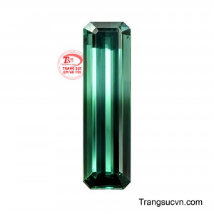 Viên Tourmaline Bicolor Huyền Ngọc