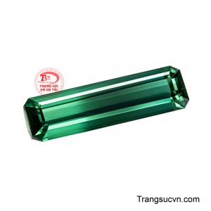 Tourmaline Bicolor Huyền Ngọc mang tinh thần sắc xanh trầm sâu, nơi ánh biếc ẩn hiện giữa những tầng màu huyền bí, tạo nên khí chất vừa thanh cao, vừa bí ẩn.
