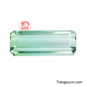 Bicolor Lưỡng Sắc còn gợi ý nghĩa về sự cân bằng giữa hai thái cực, giữa nét dịu dàng và sức sống mạnh mẽ, giữa tĩnh lặng và chuyển động. 