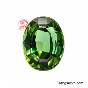 Viên Tourmaline Bicolor Tụ Khí