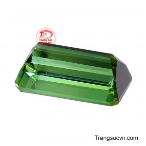 Sắc xanh của thiên nhiên thuần khiết, nơi ánh sáng gặp chiều sâu và vẻ đẹp vượt lên trên dấu vết của thời gian. 