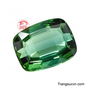 Theo quan niệm phong thủy, sắc lục tượng trưng cho sự phát triển, tài lộc và nguồn sinh khí dồi dào.