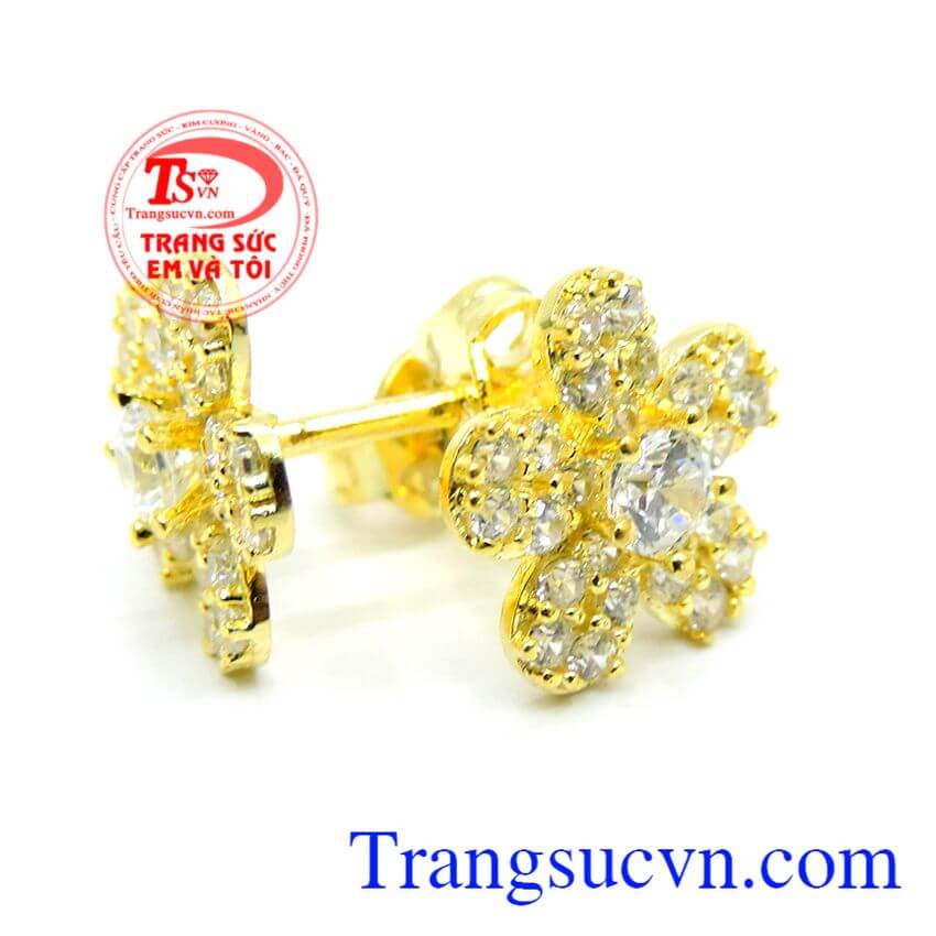 Hoa tai bông vàng, Hoa tai vàng tây