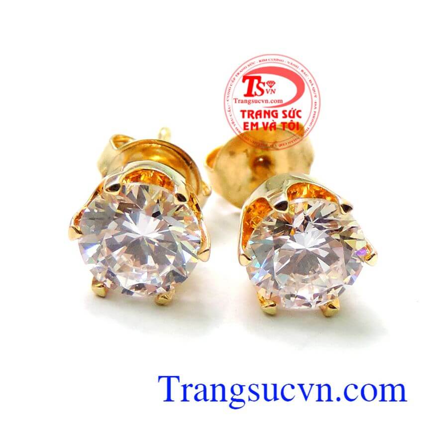 Nụ hoa tai vàng đẹp, Hoa tai vàng tây Nụ hoa tai vàng đẹp, Hoa tai vàng tây