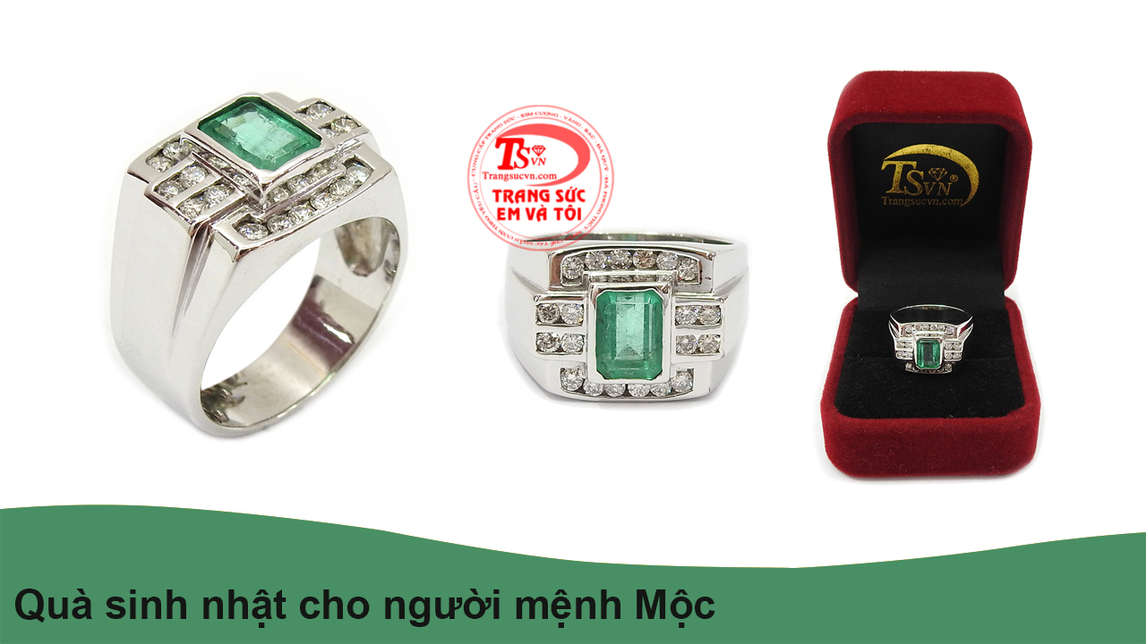  Quà sinh nhật cho người mệnh Mộc