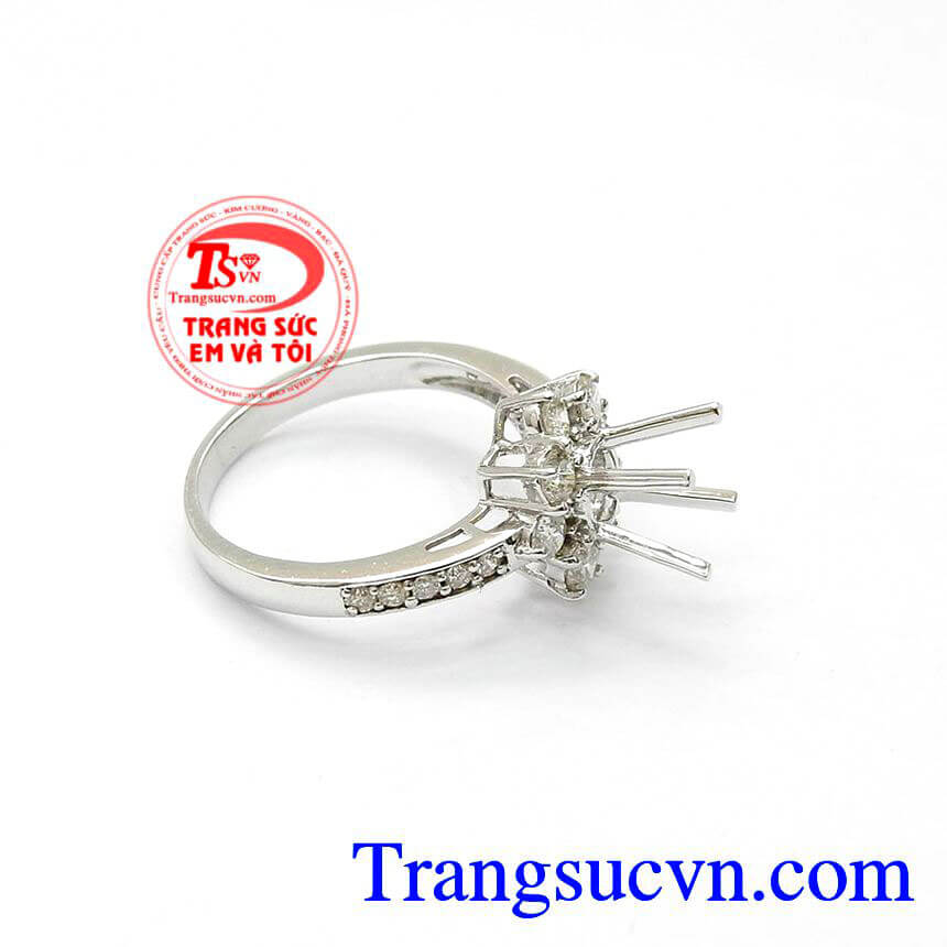 Vỏ Nhẫn Kim Cương Đẳng Cấp, Vỏ nhẫn vàng trắng cao cấp