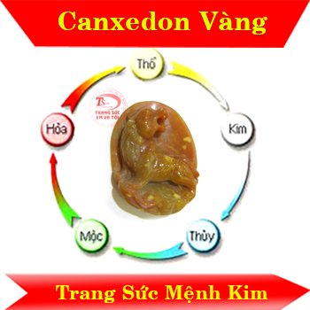 Hổ đá quý Opal quý
